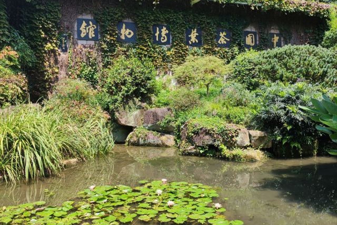 中国茶叶博物馆龙井馆区看展 参考图 1