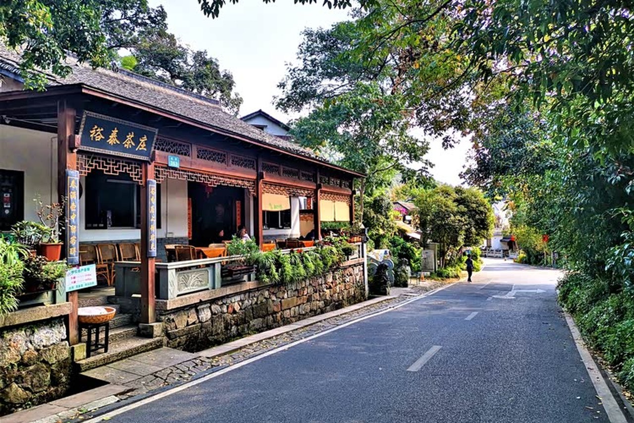 龙坞茶村茶农店 参考图 1